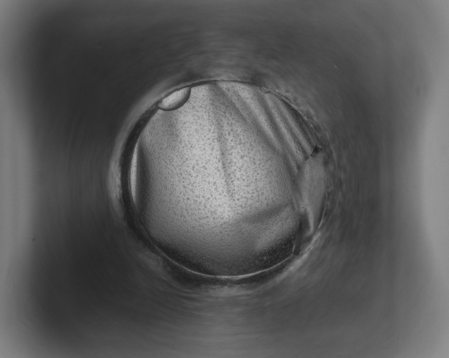 X0000102010246200808011149