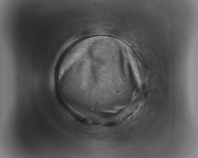 X0000102010248200808011149