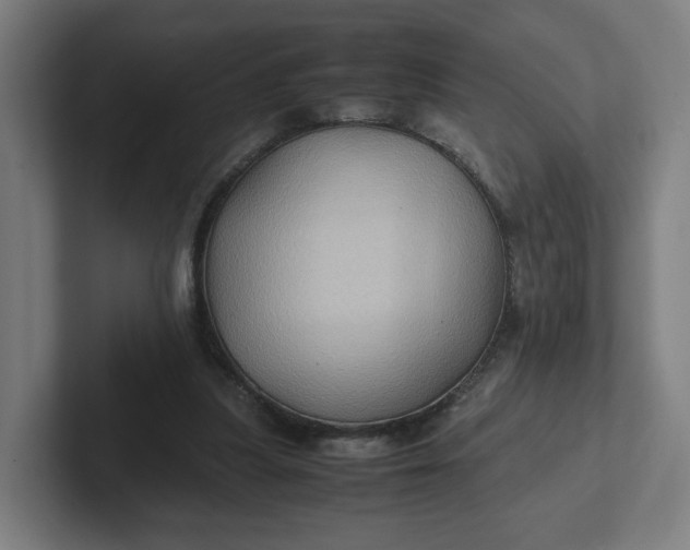 X0000102010251200808011149