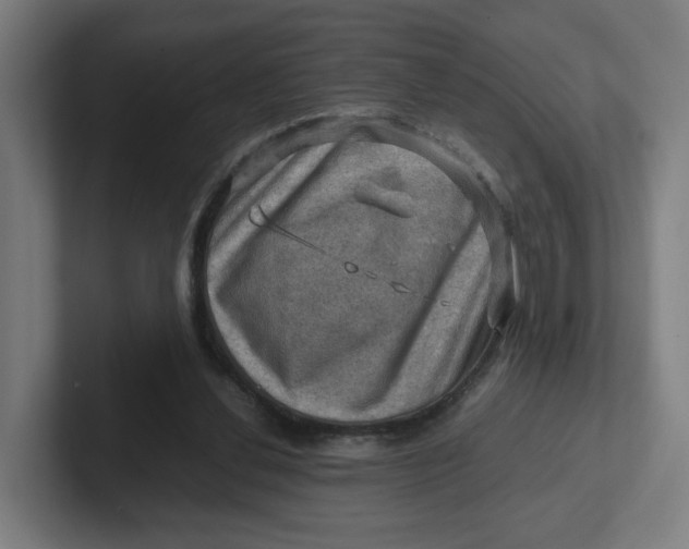 X0000102010252200808011149