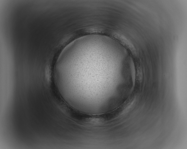 X0000102010255200808011149