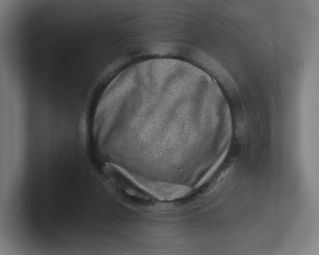 X0000102010256200808011149