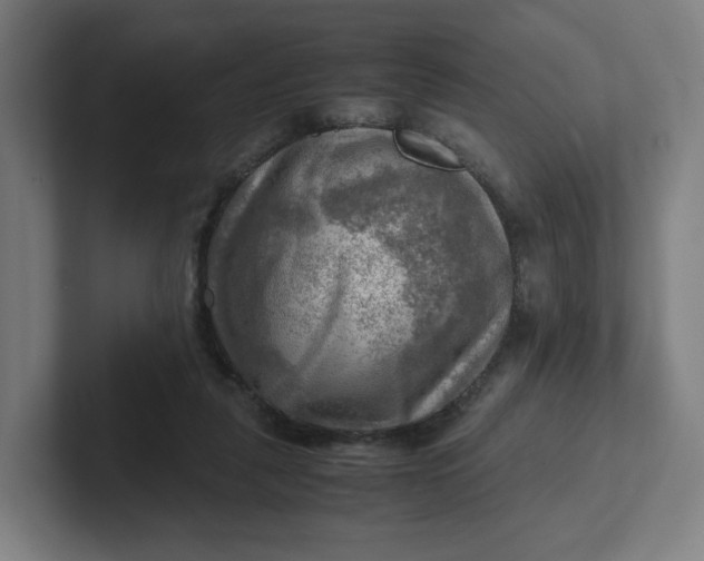 X0000102010259200808011149