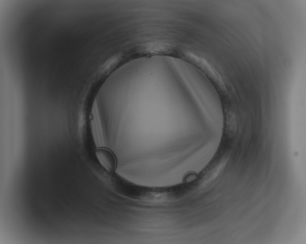 X0000102010260200808011149