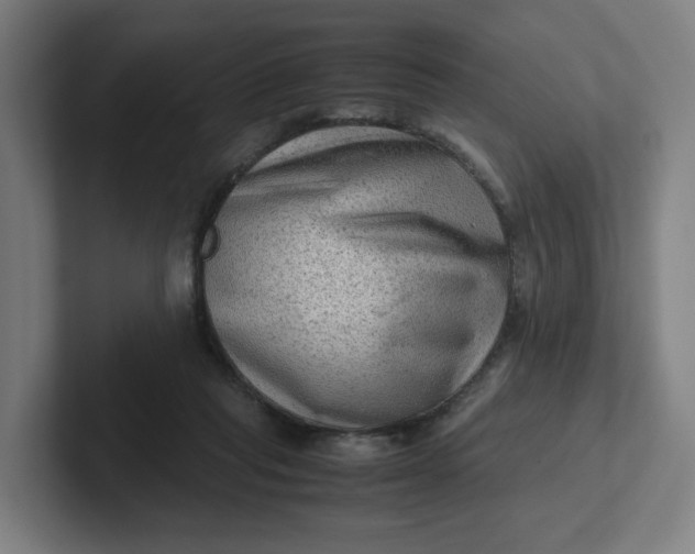 X0000102010261200808011149