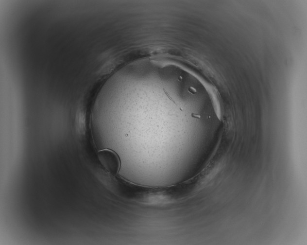 X0000102010262200808011149