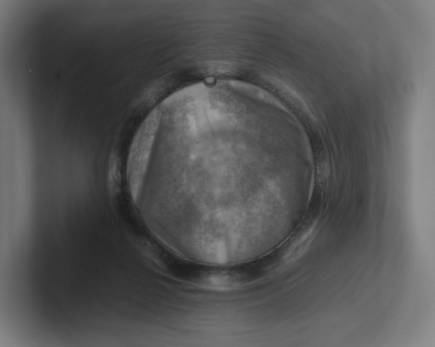 X0000102010264200808011149