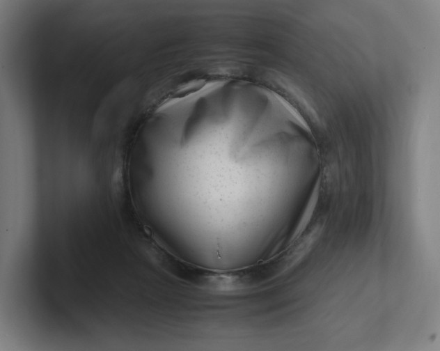 X0000102010265200808011149