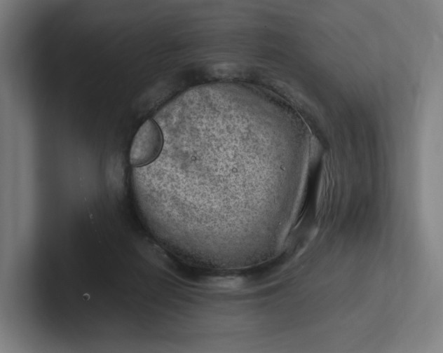 X0000102010266200808011149