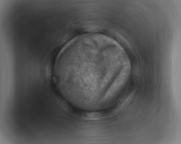 X0000102010268200808011149