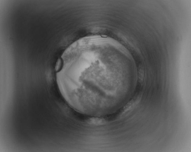 X0000102010272200808011149