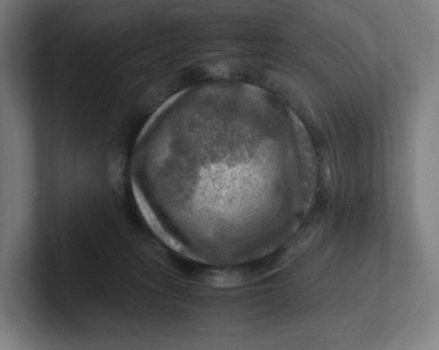 X0000102010275200808011149