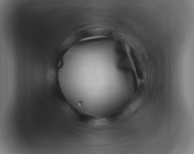 X0000102010278200808011149