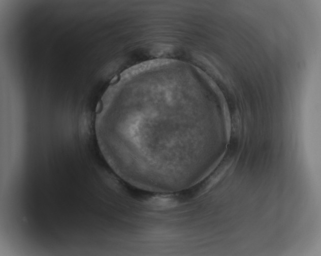 X0000102010280200808011149