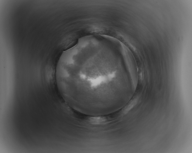 X0000102010281200808011149