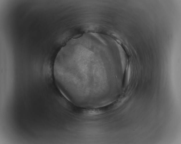 X0000102010282200808011149