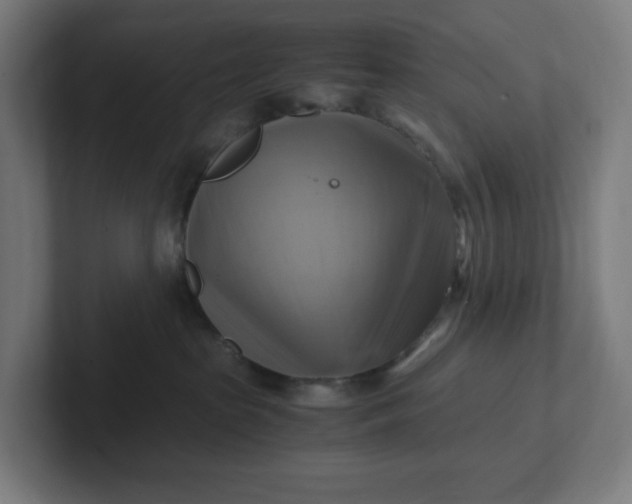 X0000102010285200808011149