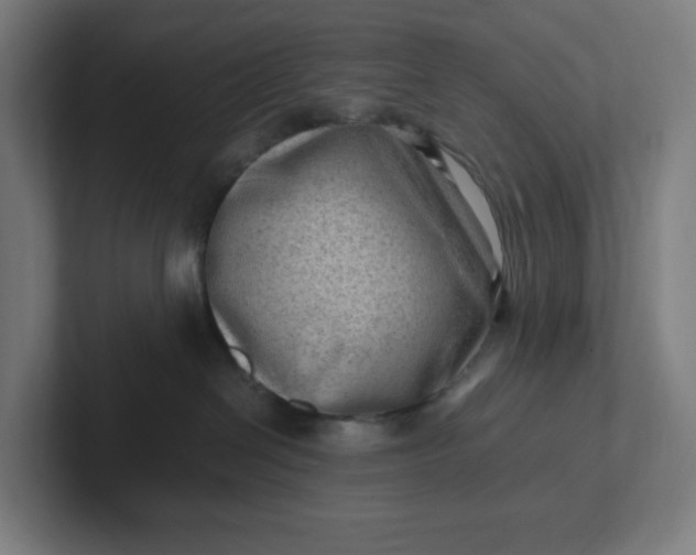 X0000102010286200808011149