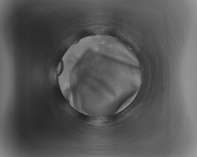 X0000102010288200808011149