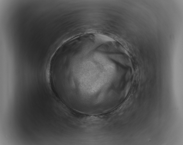 X0000102010290200808011149