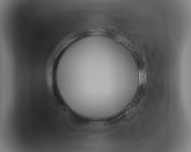 X0000102010291200808011149