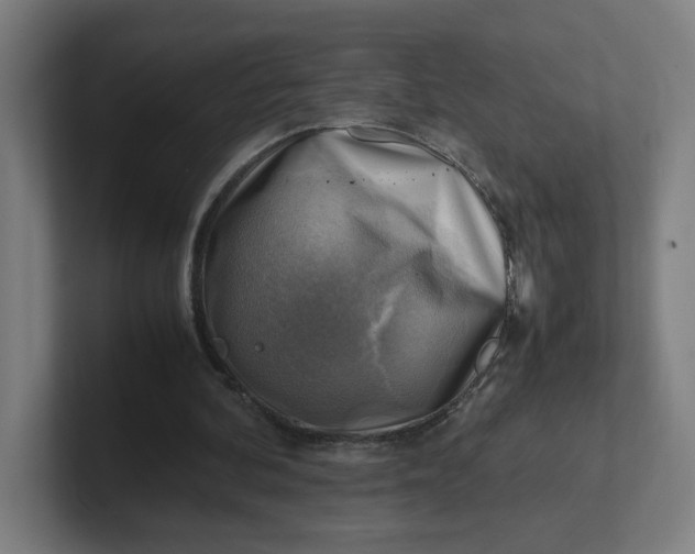 X0000102010292200808011149