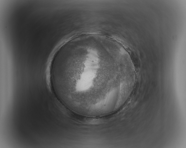 X0000102010293200808011149