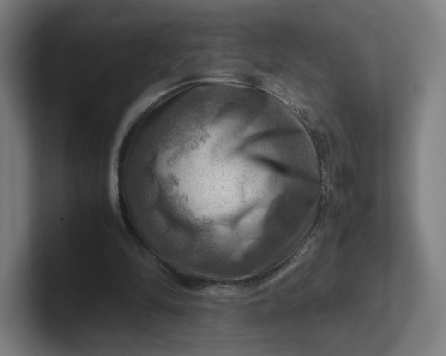 X0000102010294200808011149