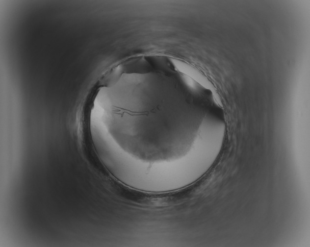 X0000102010295200808011148