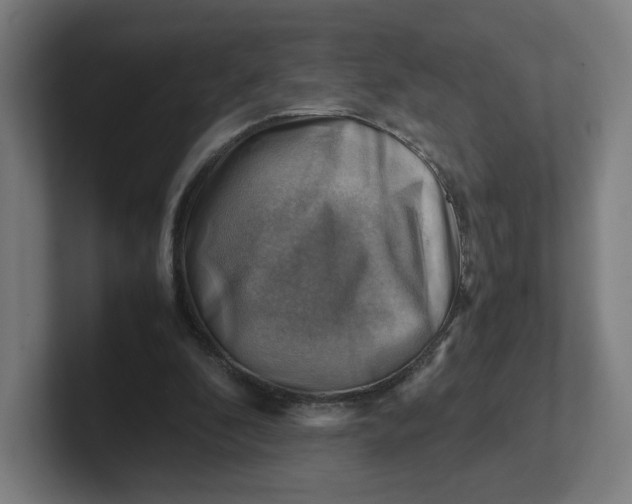 X0000102010296200808011148