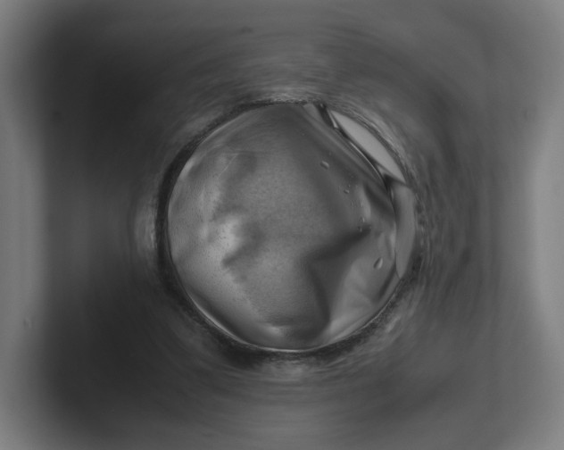 X0000102010299200808011148