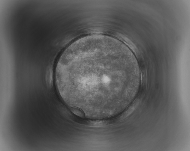 X0000102010301200808011148