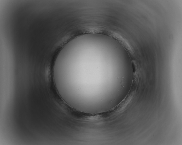 X0000102010306200808011148