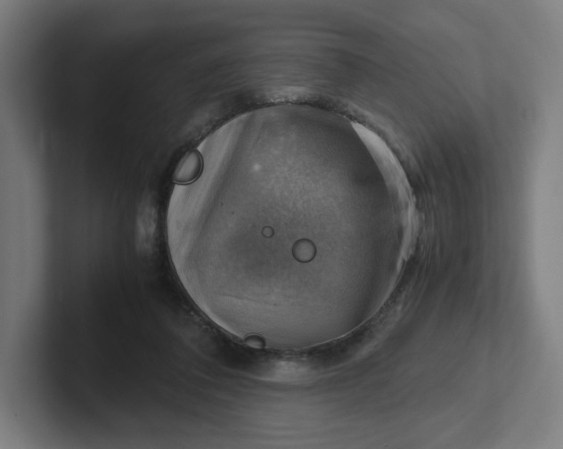 X0000102010308200808011148