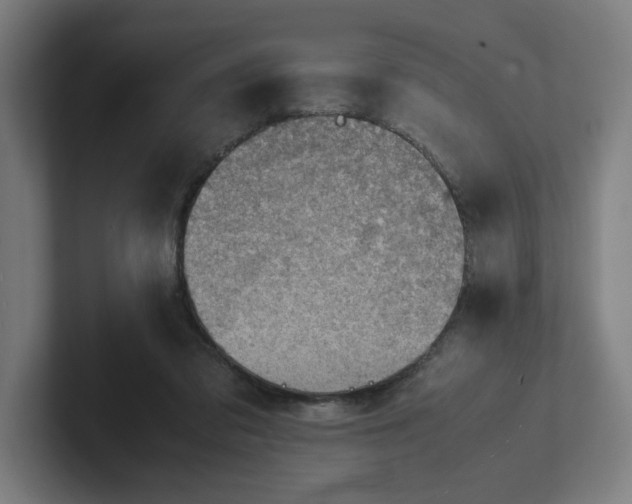 X0000102010309200808011148