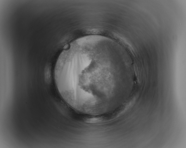 X0000102010312200808011148