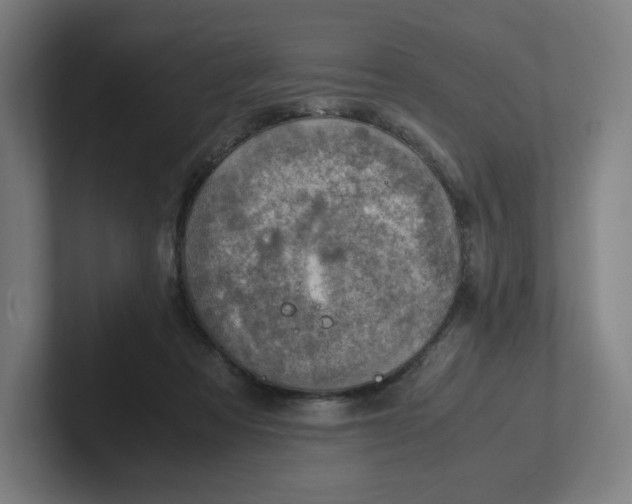 X0000102010313200808011148