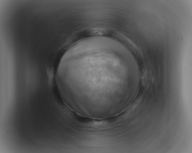 X0000102010314200808011148