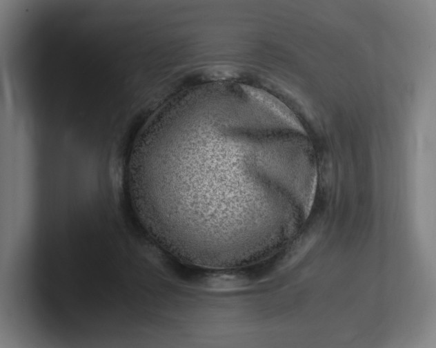 X0000102010315200808011148