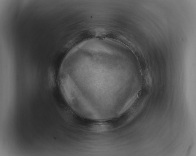 X0000102010316200808011148