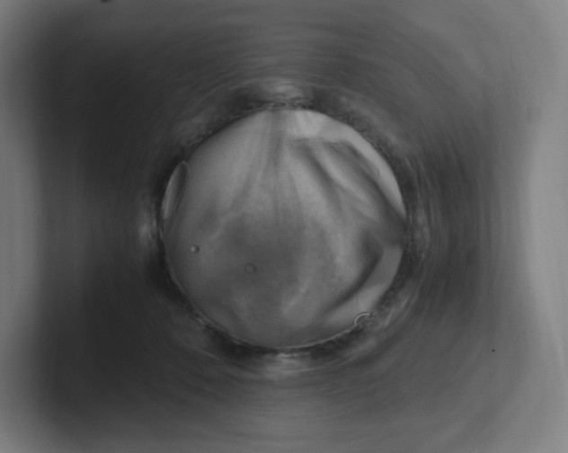 X0000102010320200808011148