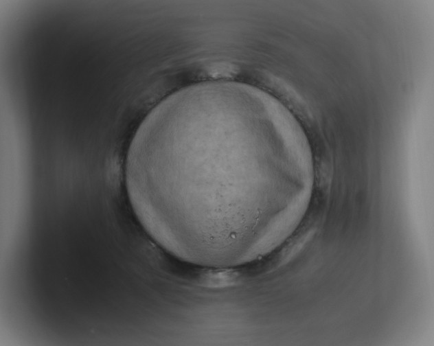 X0000102010321200808011148