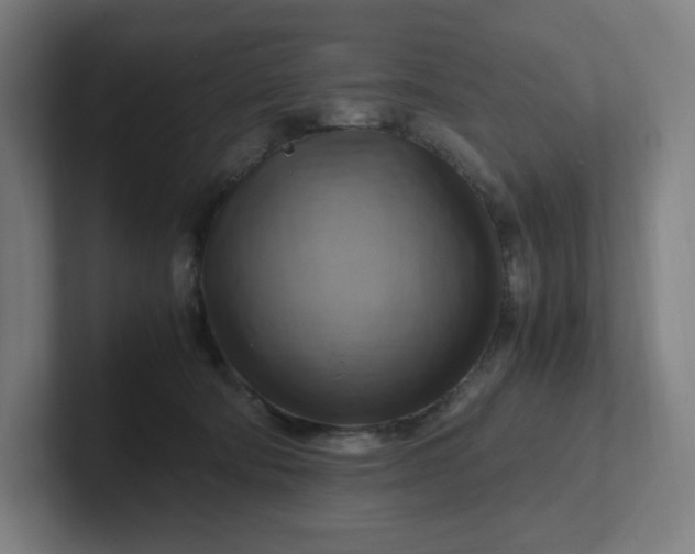 X0000102010322200808011148