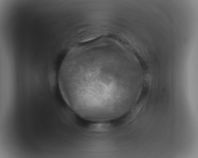 X0000102010323200808011148