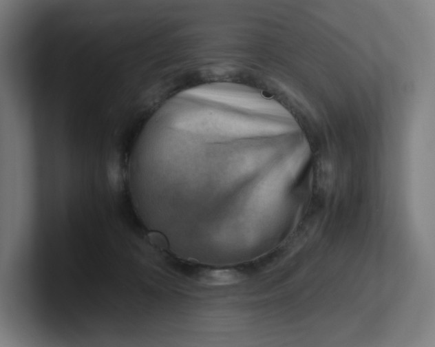 X0000102010324200808011148