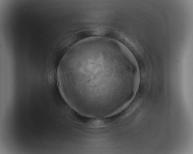 X0000102010325200808011148