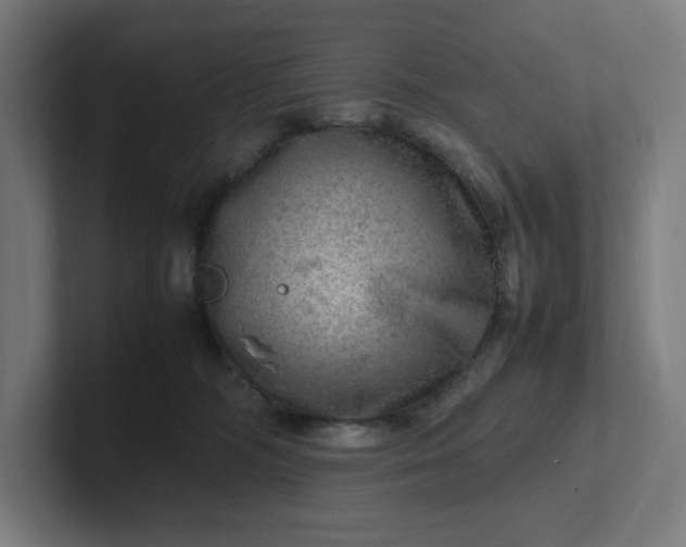 X0000102010326200808011148