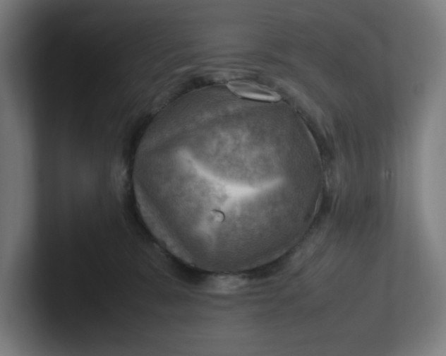 X0000102010327200808011148