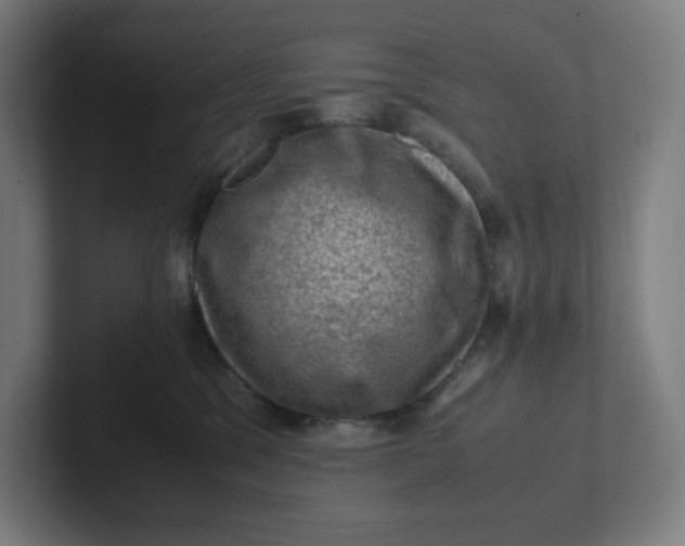 X0000102010329200808011148