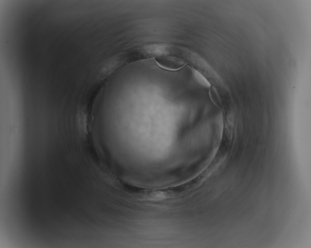 X0000102010330200808011148